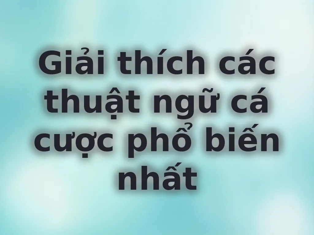 Từ điển thuật ngữ